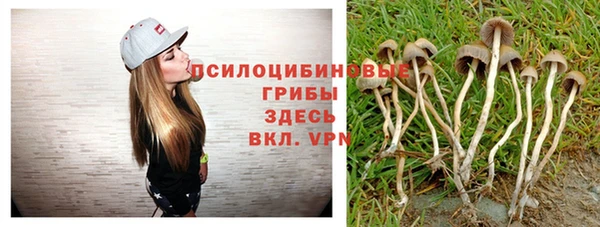 mix Арсеньев