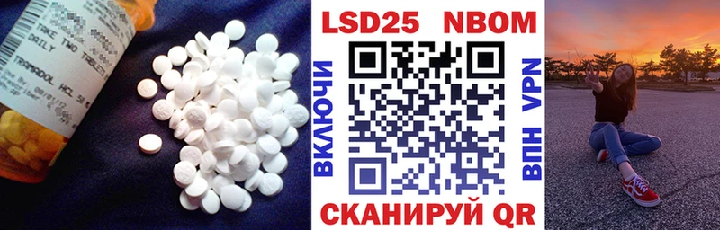 omg ONION  Ирбит  ЛСД экстази ecstasy 