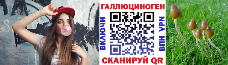 Галлюциногенные грибы Psilocybe  Ирбит 